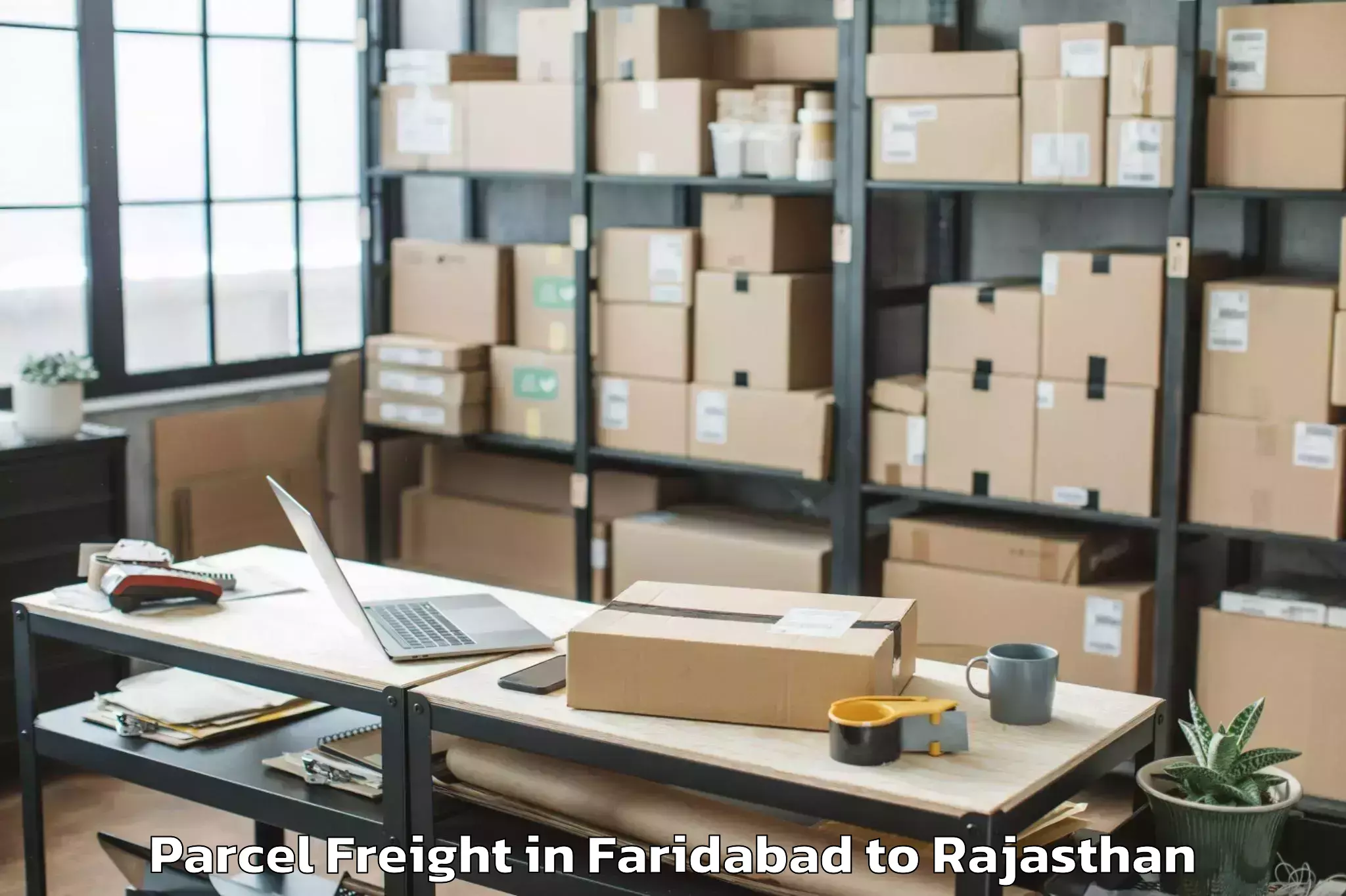 Book Faridabad to Gangapur Bhilwara Parcel Freight